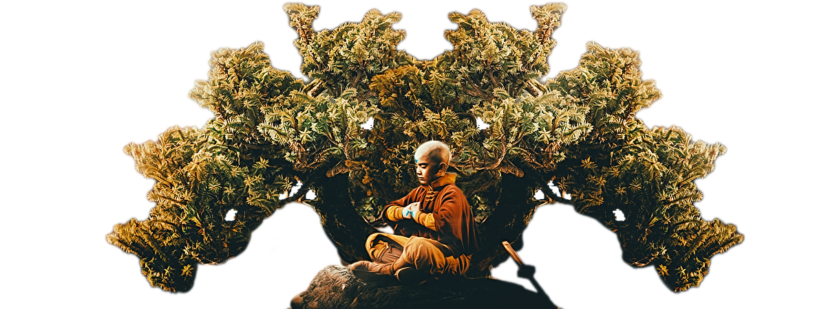 Leaves From The Wine